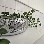 Apartman Barbarossa - Benno *